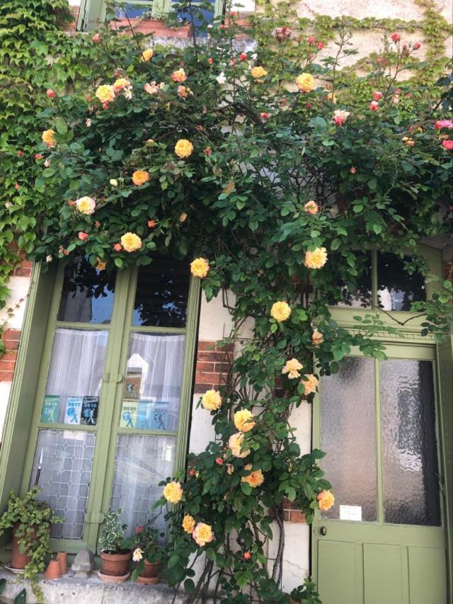 Maison d'hôtes les volets verts et sa brocante Ecueille Exterior foto