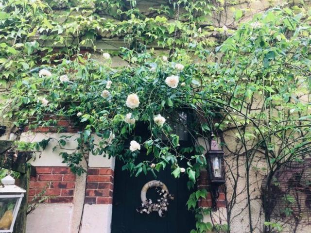 Maison d'hôtes les volets verts et sa brocante Ecueille Exterior foto